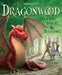 Dragonwood board game front of box