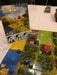 Kingdomino at Essen
