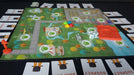 outfoxed board