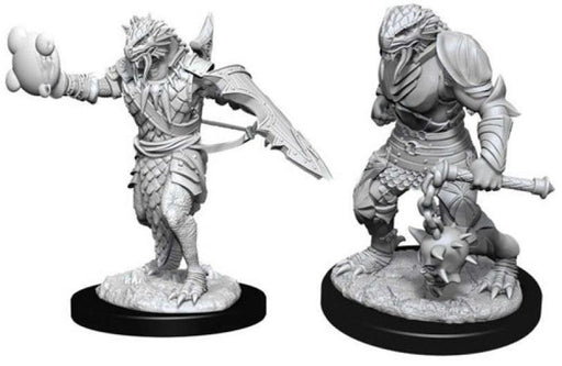 dragonborn paladin