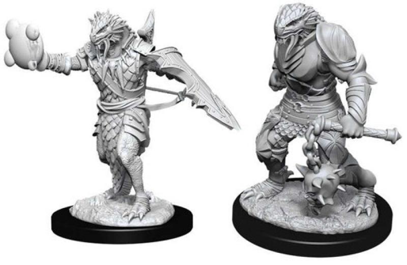 dragonborn paladin