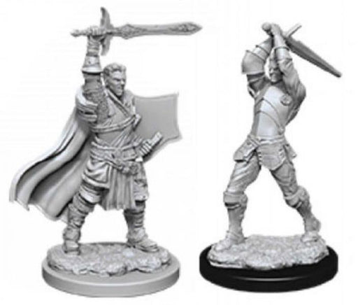 male human paladin
