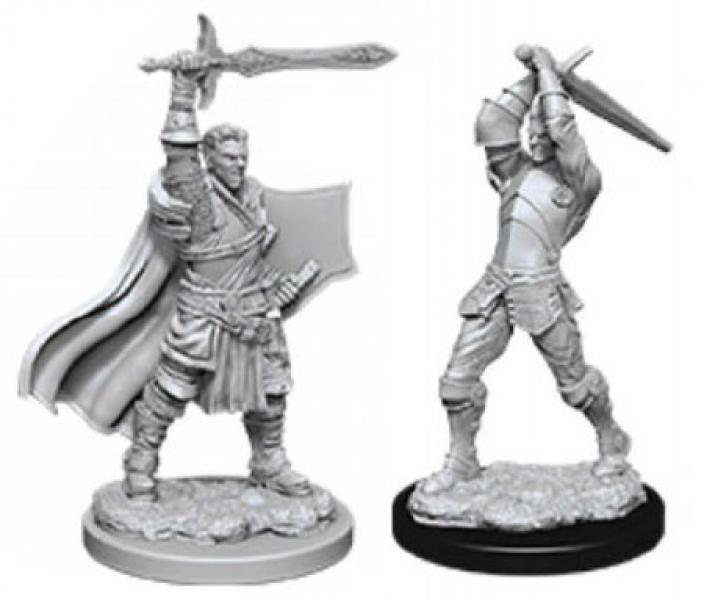 male human paladin