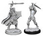male human paladin