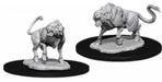 leucrotta