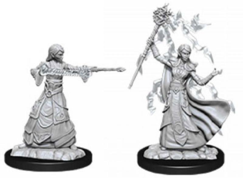 female elf wizard