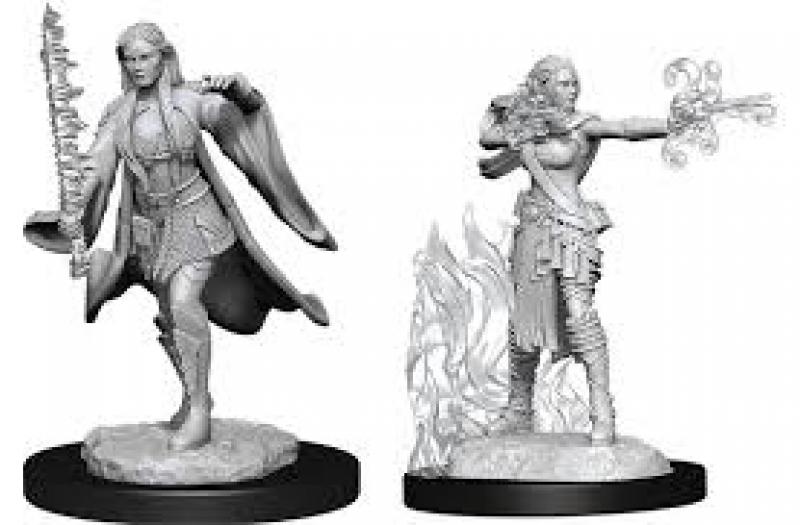 Multiclass Warlock+Sorcerer Female: D&D Nolzur's Marvelous Unpainted Miniatures (W13)
