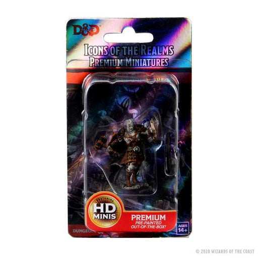 Male Dragonborn Fighter: D&D Icons of the Realms Premium Figures (W3)