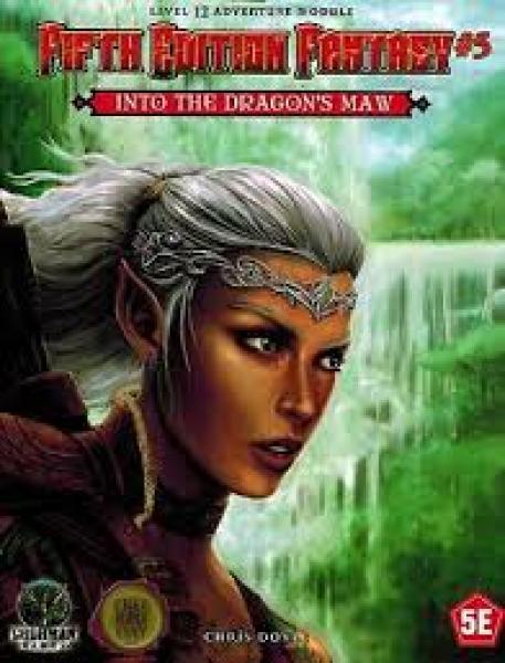 Dungeons And Dragons: Module 5: Into The Dragons Maw