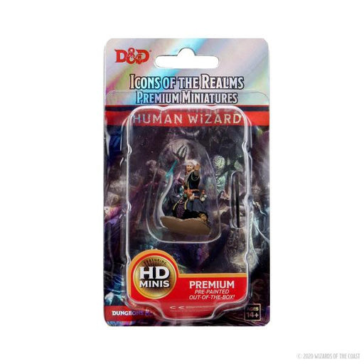 Human Wizard Male D&D Icons of the Realms Premium Figures (W4)