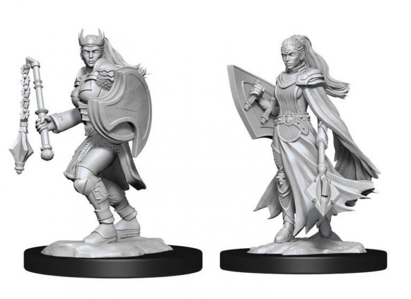 D&D Nolzur's Marvelous Unpainted Miniatures: Kalashtar Cleric Female (W14)