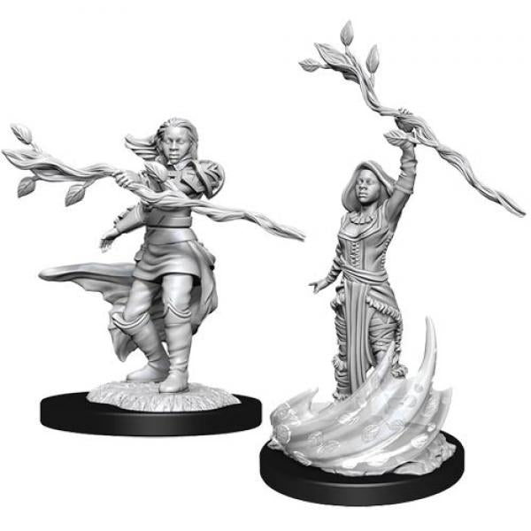D&D Nolzur's Marvelous Unpainted Miniatures: Human Druid Female (W14)
