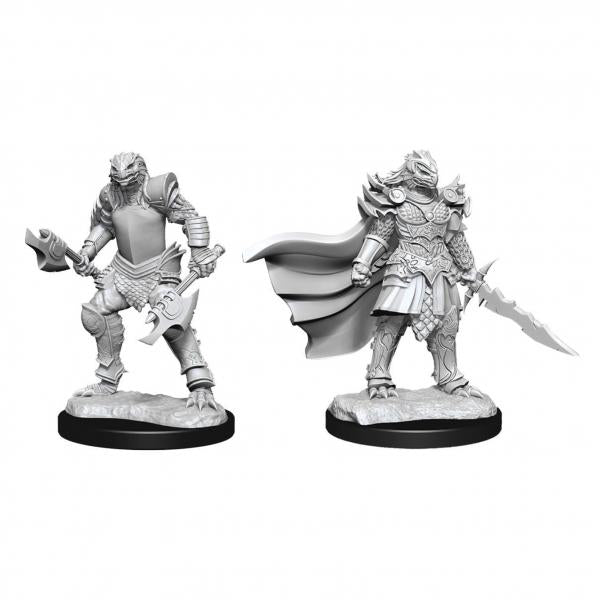 D&D Nolzur's Marvelous Unpainted Miniatures: Dragonborn Fighter Female (W15)