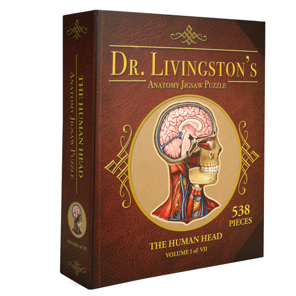 Dr Livingston's Anatomy Jigsaw Puzzle: Volume I: The Human Head