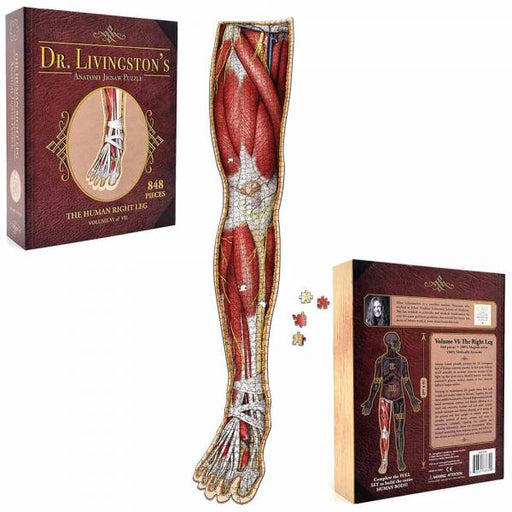 Dr Livingston's Anatomy Jigsaw Puzzle: Volume IV: The Human Right Leg