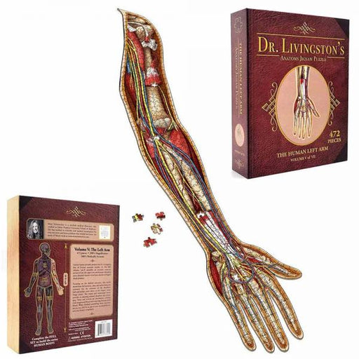 Dr Livingston's Anatomy Jigsaw Puzzle: Volume IV: The Human Left Arm