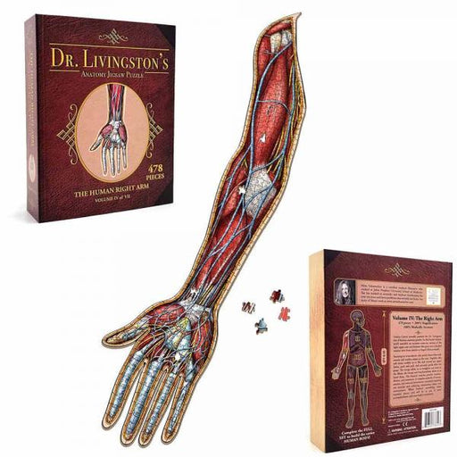 Dr Livingston's Anatomy Jigsaw Puzzle: Volume IV: The Human Right 