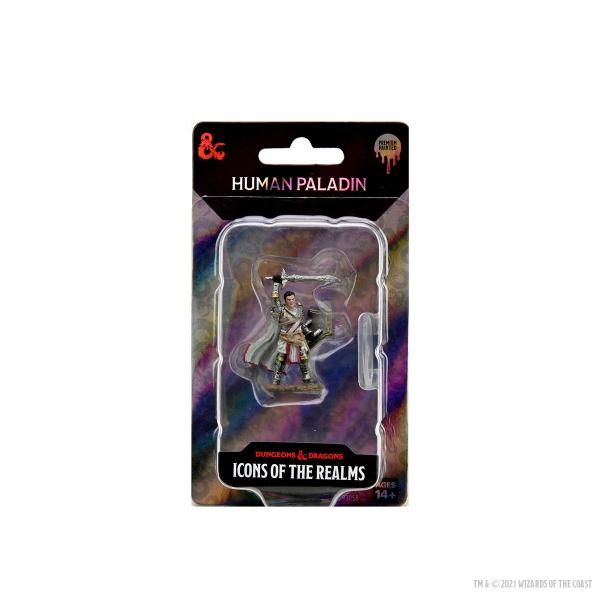 Male Human Paladin D&D Icons of the Realms Premium Figures (W7)