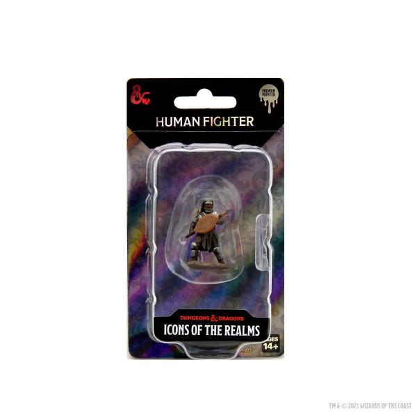 Male Human Fighter D&D Icons of the Realms Premium Figures (W7)