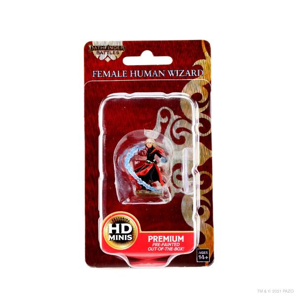 Pathfinder Painted Premium: Female Human Wizard