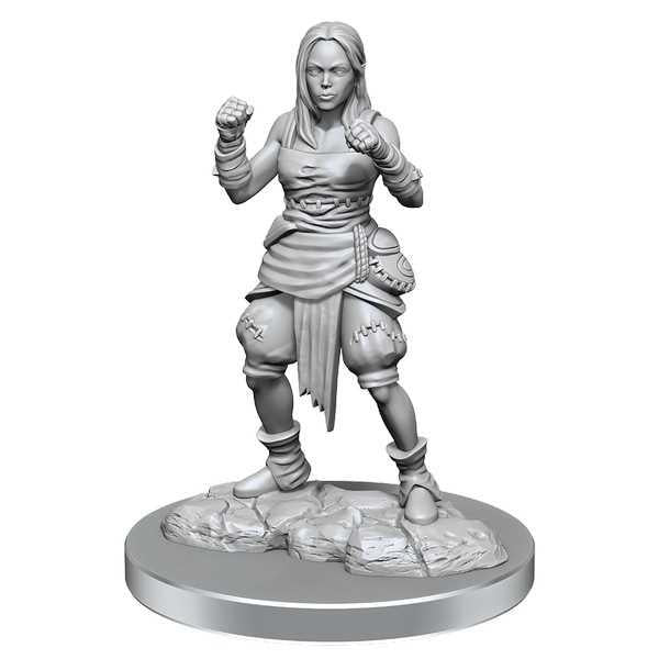 Half-Elf Monk Female: Pathfinder Deep Cuts Unpainted Miniatures (W21)